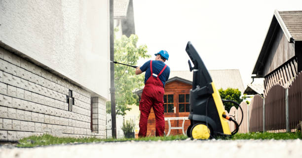 Best Soft Washing  in Lake Fenton, MI